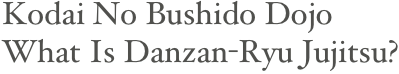 Kodai No Bushido Dojo
What Is Danzan-Ryu Jujitsu?